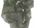 Green Fluorite Crystal Cluster - China #94644-1